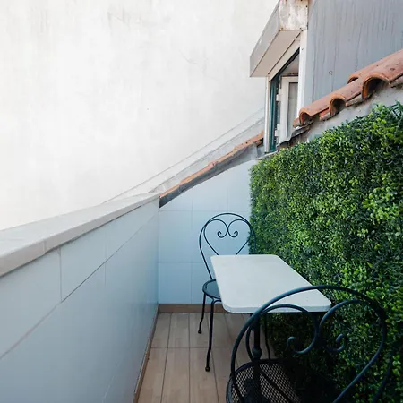 Gasthuis Local House